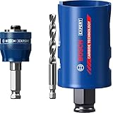 Bosch Professional