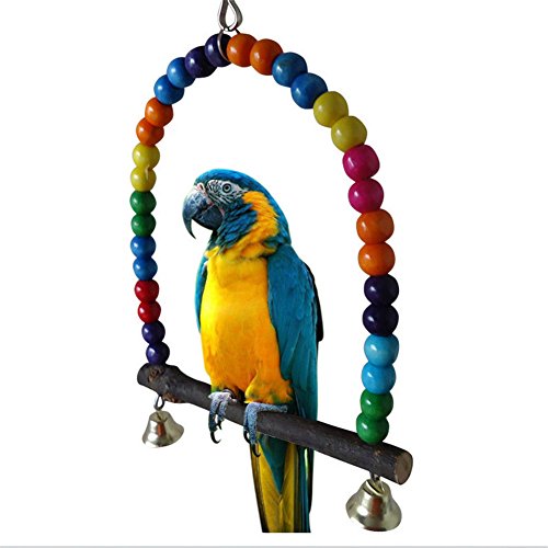 Parrot Cage perruche calopsitte élégante Finch Inséparable Budgie coloré Swing support