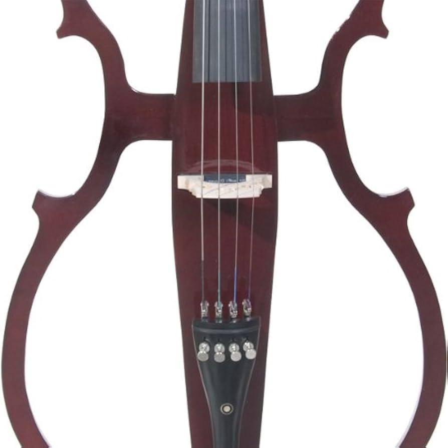 Amazon.com: Cecilio CECO-1DW Ebony Electric Silent Metallic