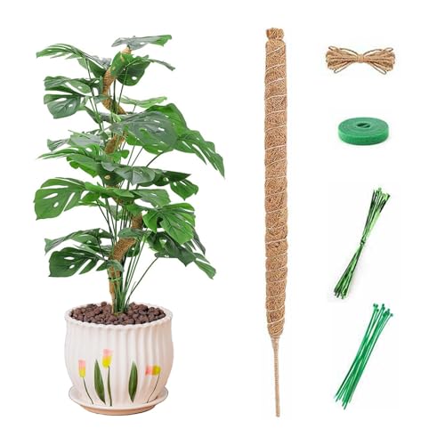 Monstera Tuteur en mousse - 120 cm - Tuteur souple Monstera - Support naturel pour plantes grimpantes avec accessoires