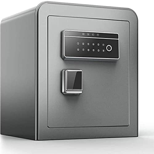Sécurité électronique de voyage pour protéger votre argent et passeport
