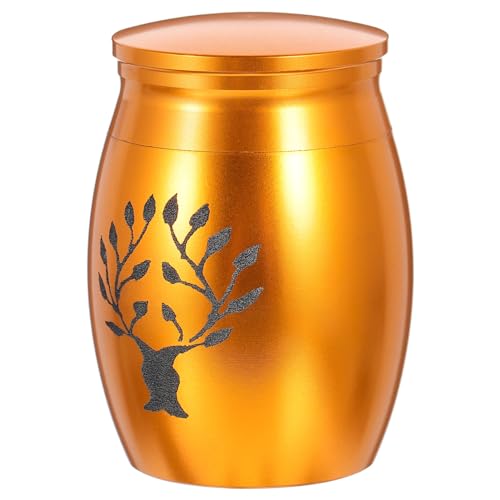 Abaodam ybgA ybgV̊ LO̊ D ybg