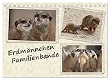 Erdmännchen Familienbande (Tischkalender 2023 DIN A5 quer) Monatskalender
