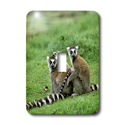Interrupteur Madagascar Antananarivo pour remplacer plaque blanche - 4