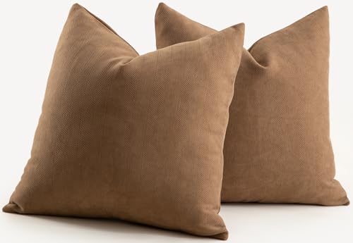 MANDIOO Pack of 2 Chenille Throw Pillow Covers Elegant Design