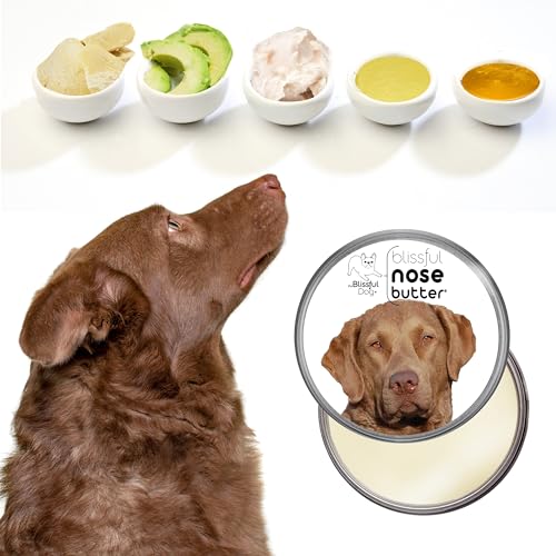 Image of The Blissful Dog Chesapeake Bay Retriever Unscented Nose Butter, 1-Ounce