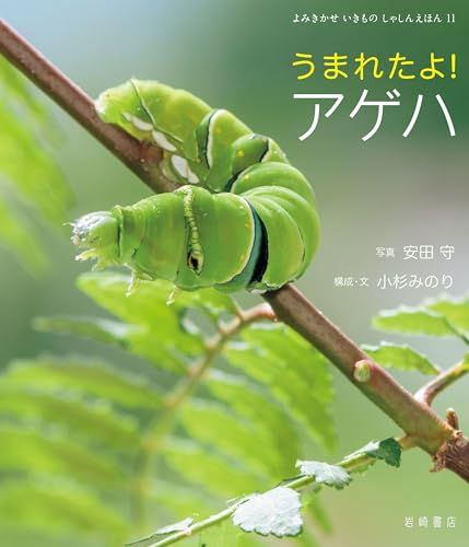 うまれたよ! アゲハ よみきかせ いきものしゃしんえほん