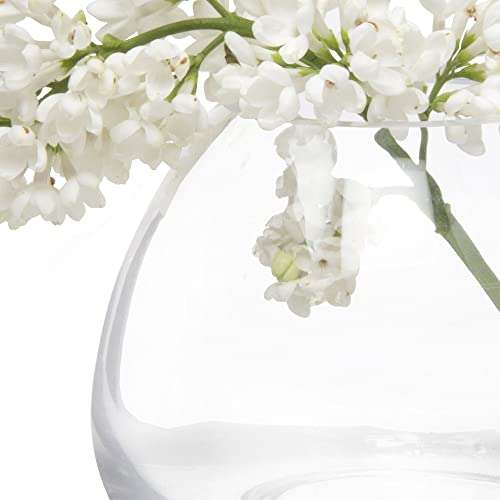 Chive ‘George’ Glass Bottle Flower Vases — Set Of 6 — Small, Elegant Clear Glass Bud Vases — Bulk Pack For Home Decor & Table Centerpieces — Shape 3 (Oval, 3” Tall, 3” Wide) #TOP3