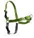 PetSafe Easy Walk Harness,  Petite/Small, APPLE GREEN/GREY for Dogs