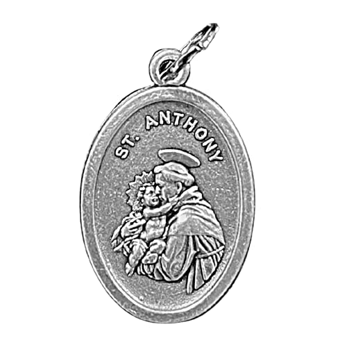Religious Gifts Saint St Francis Of Assisi 1 Inch H Silver Tone Pet Medal #TOP3