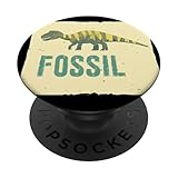Fossil Outfit