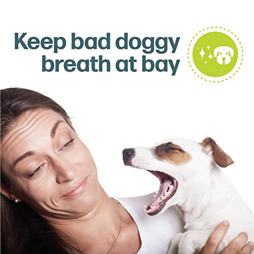Fido Flex Hip And Joint Care Bones For Dogs, Made With Glucosamine, Chondroitin, And Cherries - Promotes Mobility, Joint Function, And Naturally Reduces Plaque - 8 Treats Per Pack, Pack Of 1 #TOP5