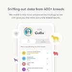 Embark Breed Identification Kit - Most Accurate Dog DNA Testing Kit - 99% Breed Ancestry Accuracy for Mixed Breed Dogs - Plus Relative Finder & Family Tree - Image 2