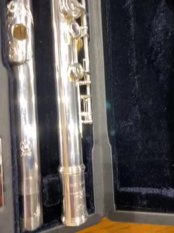 Amazon | A'sTool フルート ハードケース H管 17穴用 | 木管楽器ケース