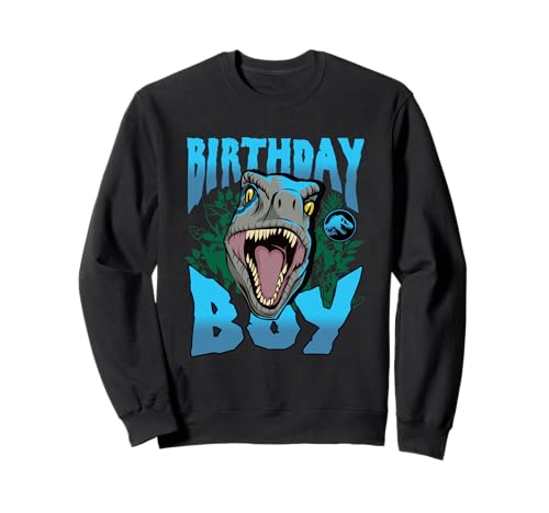 Sweatshirt Jurassic World Velociraptor Blue pull enfant résistant aux jeux