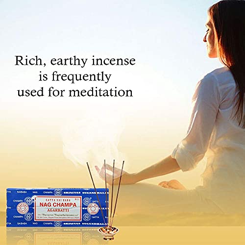 Satya Sai Baba Nag Champa Agarbatti Pack Of 2 Incense Sticks Boxes 250Gms Each Hand Rolled Agarbatti Fine Quality Incense Sticks For Purification, Relaxation, Positivity, Yoga, Meditation #TOP3
