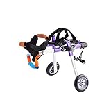 Einstellbarer Hunderollstuhl für kleine Hunde, Höhe vom Boden bis zum Rücken des Hundes ist 5,9 