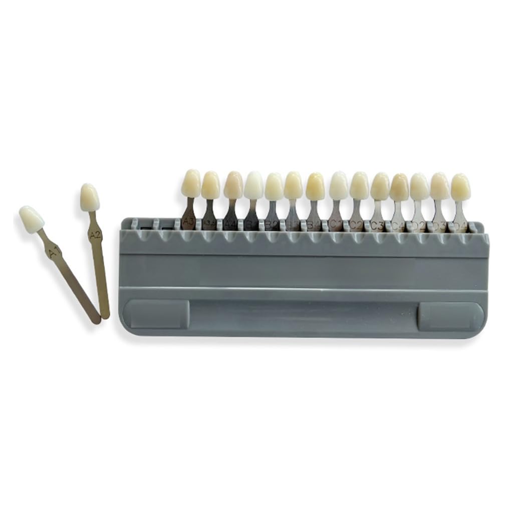 Asukohu 16 Colours Dentals Bleaching Shade Guide Comparison Board 16/29 Colour Whiten Aesthetic Porcelain Tooth Colours Plate