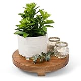 Kurrajong Farmhouse Artificial Succulent Laurel in White Ceramic Pot | Faux Plant Desk Plant for Off