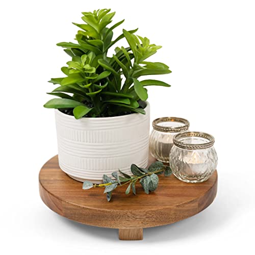 Kurrajong Farmhouse Artificial Succulent Laurel In White Ceramic Pot | Faux Plant Desk Plant For Office Decor | Artificial Plant For Bathroom Decor | Fake Succulents For Bedroom Decor | Fake Plant #TOP7