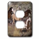 3dRose LLC lsp_93557_6 Usa, Oregon, Seneca, Ponderosa Ranch Horses Us38 Bja0382 Jaynes Gallery 2 prese di uscita