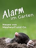  Alarm im Garten - Neues von Maulwurf und Co.