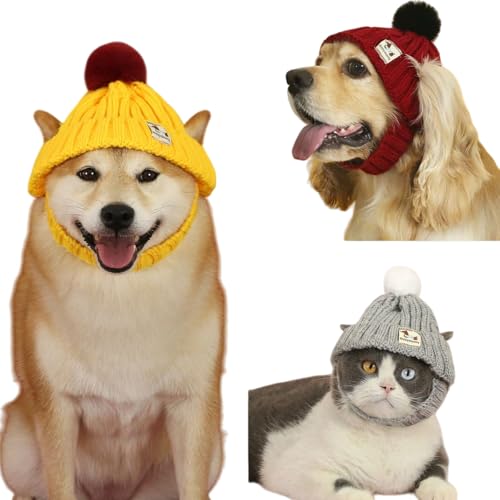  L Xq jbgX ybgp h ~  킢  ю X ybgObY Bep RX`[ NX}X T^Xq ^ ^ Lp ~p h ۉ 蕨 RXv || (O[, M)