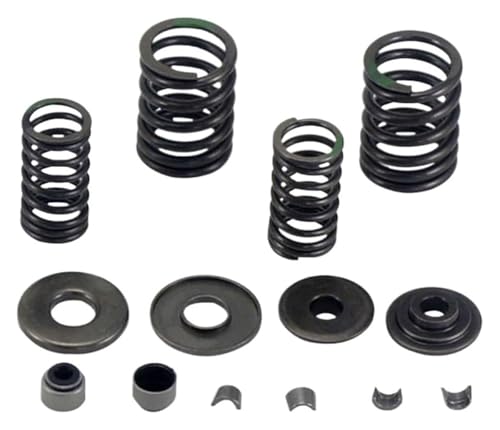 Pince à ressort pour rénovation moteur 4 temps 250 à 520 cm³ YP250-5028B