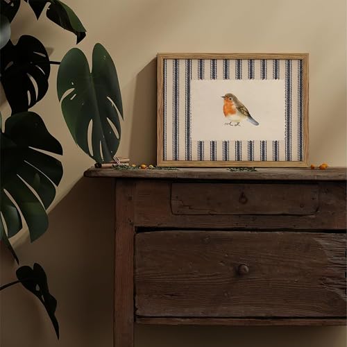 Image of Framed Robin Bird Wall Art, Striped Nature Watercolor Canvas Print, Country Farmhouse Wall Decor, Vintage Cottagecore Animal Picture Artwork for Living Room Bedroom Bathroom 12x16 inch