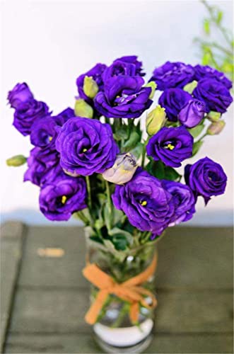 Zellajake Rare Flower Seeds Purple Lisianthus Seeds 100Pcs Eustoma Fllower Seeds Plants Perennial Flowering Plants Balcony Potted Flowers Seeds #TOP2