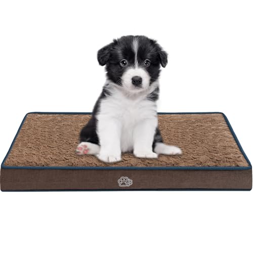 EMPSIGN Reversible Dog Bed 23" with Egg Foam, Washable