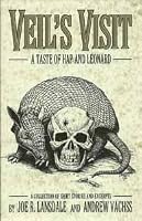 Veil's Visit 1892284405 Book Cover