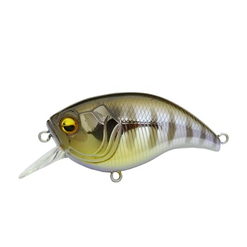 ChWp(Raid Japan) LEVEL CRANK (xNN) 012.tM (LC012. CHI GILL)