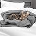 furrybaby Dog Blankets for Small Dogs, Puppy Small Fleece Blankets for Pets, Premium Cat Blanket, Sherpa Pet Blanket Washable for Pet Kitten Doggy (Grey, 24x32 in, S)