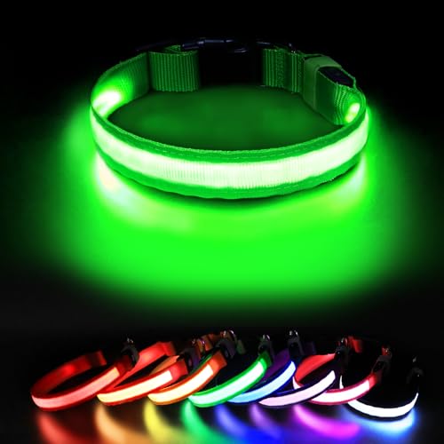 MASBRILL Collier Lumineux pour Chien Rechargeable, LED Collier Chien Etanche et Réglable 3 Modes d'éclairage, LED Clignotant Collier de Sécurité pour Petits Moyens Grands Chien(Vert, M)