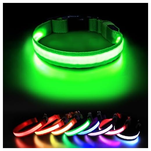 LED Leuchthalsband für Hunde in Grün
