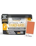 SEEBAUER diy