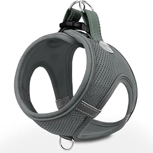 Joytale Small Dog Harness, Breathable Mesh Step-in Vest, Reflective Soft Padded Harnesses for Small and Medium Dogs, Gray, L