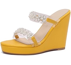 LIXGVHRO Clear Wedges Heels Mules for Women Platform Heel