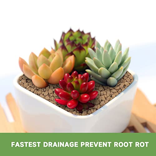 NOHOBE 1.1kg Hard Akadama Bonsai Soil 1/8-1/4" Small Granule for Cactus, Succulents, Bonsai Plants Soil Adjustment, Prevent Over Water, Provides Optimal Water Retention, Fast Drainage