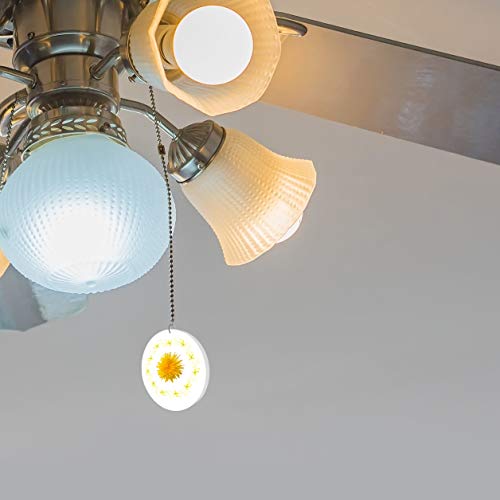 Image of Dandelion Circle Fan /Light Pull