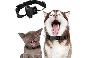 Dog Gopro: Capture Your Pet's Adventures with Ease