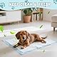 HOMIKLSA 50 Stück Welpenunterlage Trainingspads für Hunde PIPI Matten für Welpen 60 x 60cm für Tiere Pinkelmatte Training Auslaufsicheres 5 Lagiges Design Super saugfähige Oberfläche