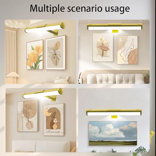 Image of MIOBLUE Picture Light with Remote and Timer, 13.8in Rechargeable Picture Light with 3 Color Modes, Dimmable Cordless Painting Light for Wall Display, Gallery Artwork, Portraits, Dartboards