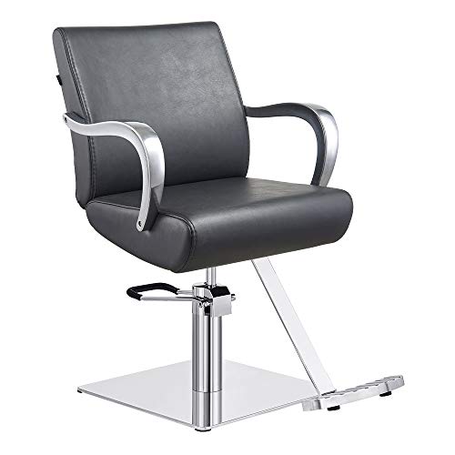 Dir Salon Styling Chair Hydraulic Beauty Stylist Chair Meteor In Black #TOP7