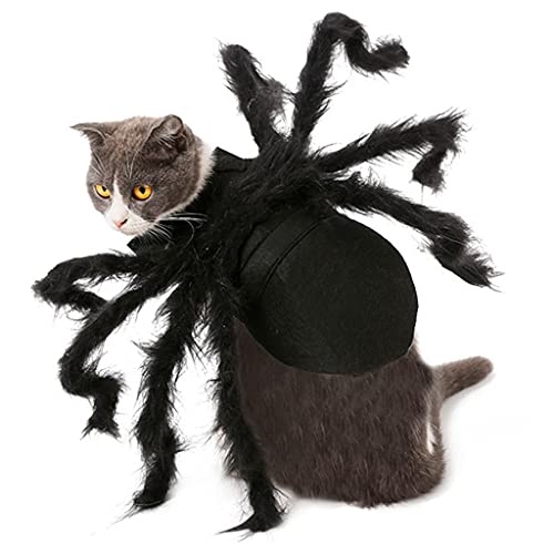 LOVIVER Spinnenhund Kostüm für Halloween Party - Hund Kostüm für Teddy, Mops, Chihuahua, Shih Tzu, Yorkshire Terrier