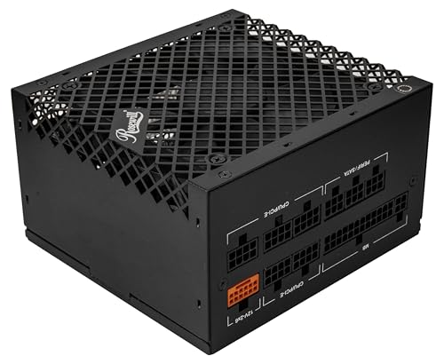 Image of Rosewill VMG 1000W 80+ Gold, ATX 3.0 & 3.1 Compatible, Full Modular Low-Noise Power Supply, PCIe 5.1 12V-2x6 Connector, 100% Japanese Electrolytic Capacitor, 120mm FDB Silent Fan - 5 Year Warranty