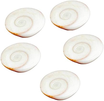 Gomati Chakra For Peace And Prosperity ,Gomti 5 Pcs Set Standard White