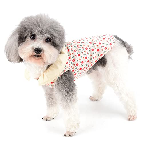 Zunea Maglietta per Cani Piccola Taglia Estivi