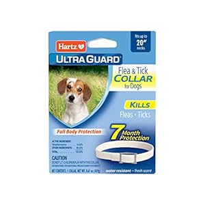 Hartz UltraGuard Flea & Tick Collar for Dogs and Puppies – 20″ Neck, 7 Month Protection